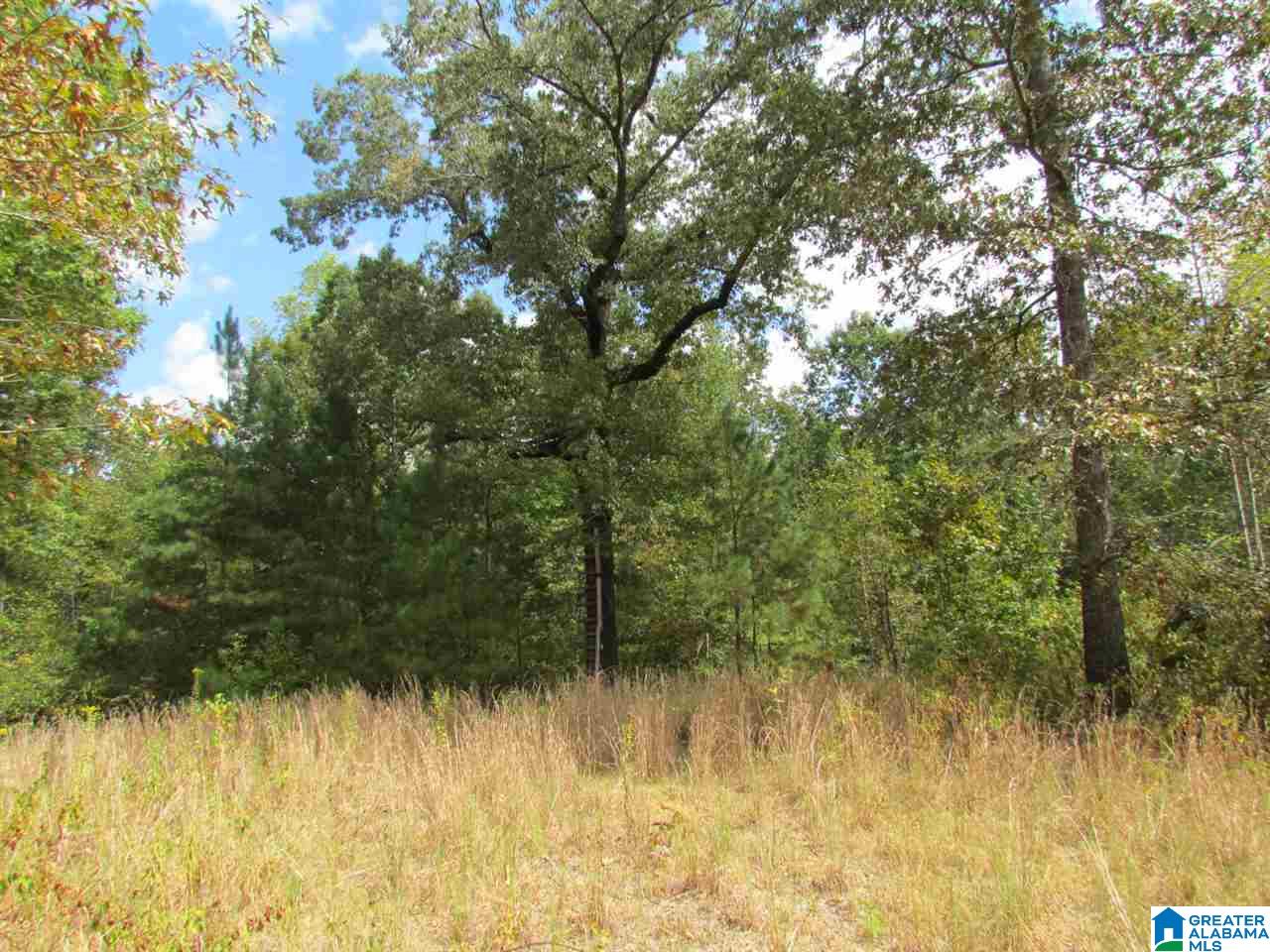 0 Wolf Pen Ridge Road Pell City, AL 35128 - Photo 1 of 13