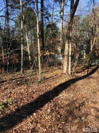 a view of back yard