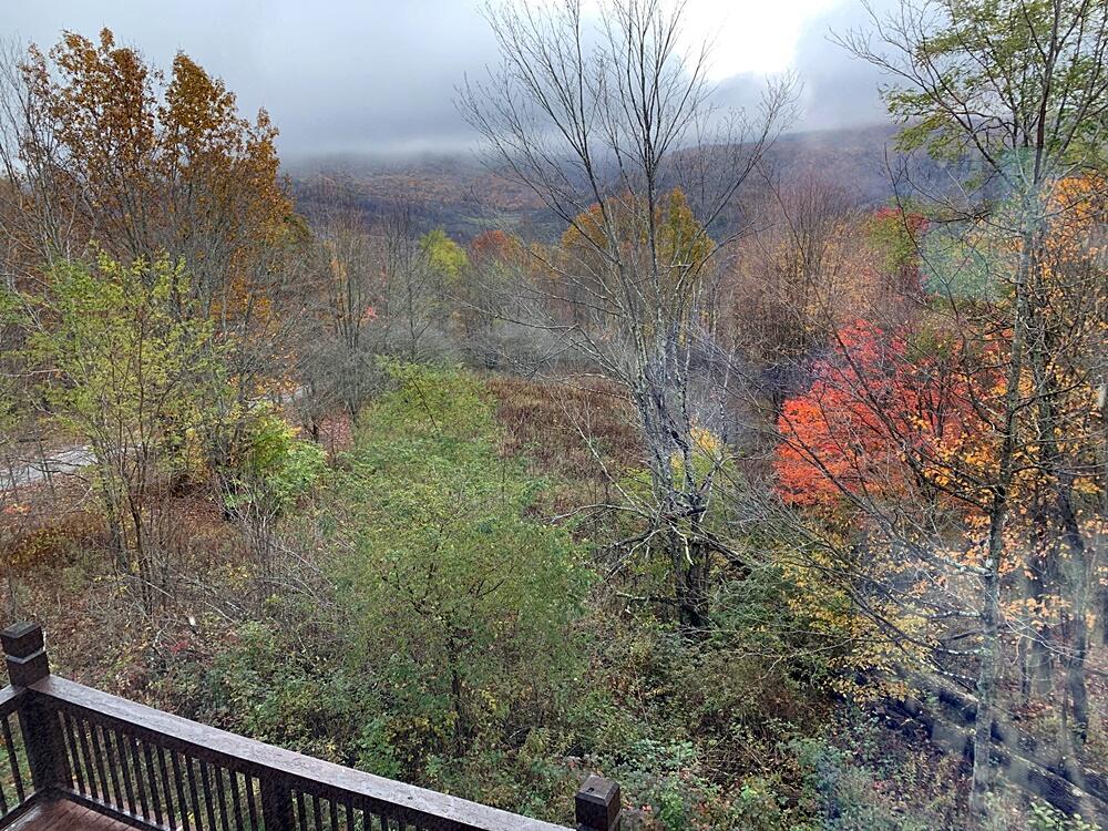 155 Hawthorne Ridge Road Slatyfork, WV 26291 - Photo 25 of 45 Gallery Image 25