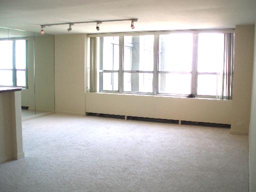 655 West Irving Park Road, Unit 2808 Chicago, IL 60613 - Photo 3 of 15