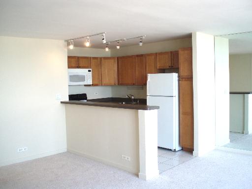 655 West Irving Park Road, Unit 2808 Chicago, IL 60613 - Photo 5 of 15