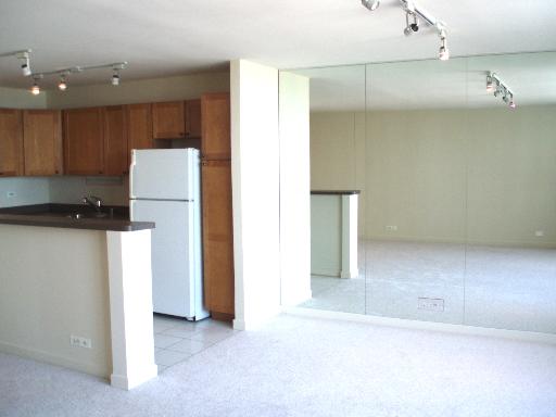 655 West Irving Park Road, Unit 2808 Chicago, IL 60613 - Photo 6 of 15