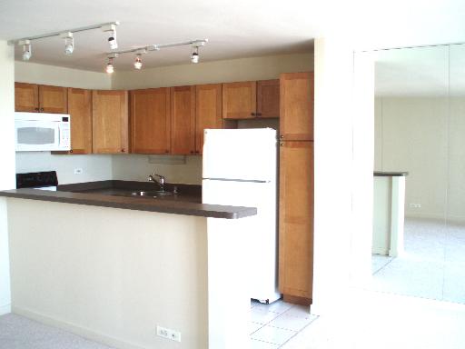 655 West Irving Park Road, Unit 2808 Chicago, IL 60613 - Photo 7 of 15
