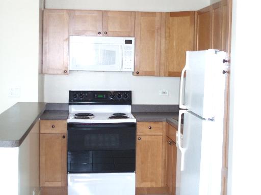 655 West Irving Park Road, Unit 2808 Chicago, IL 60613 - Photo 9 of 15