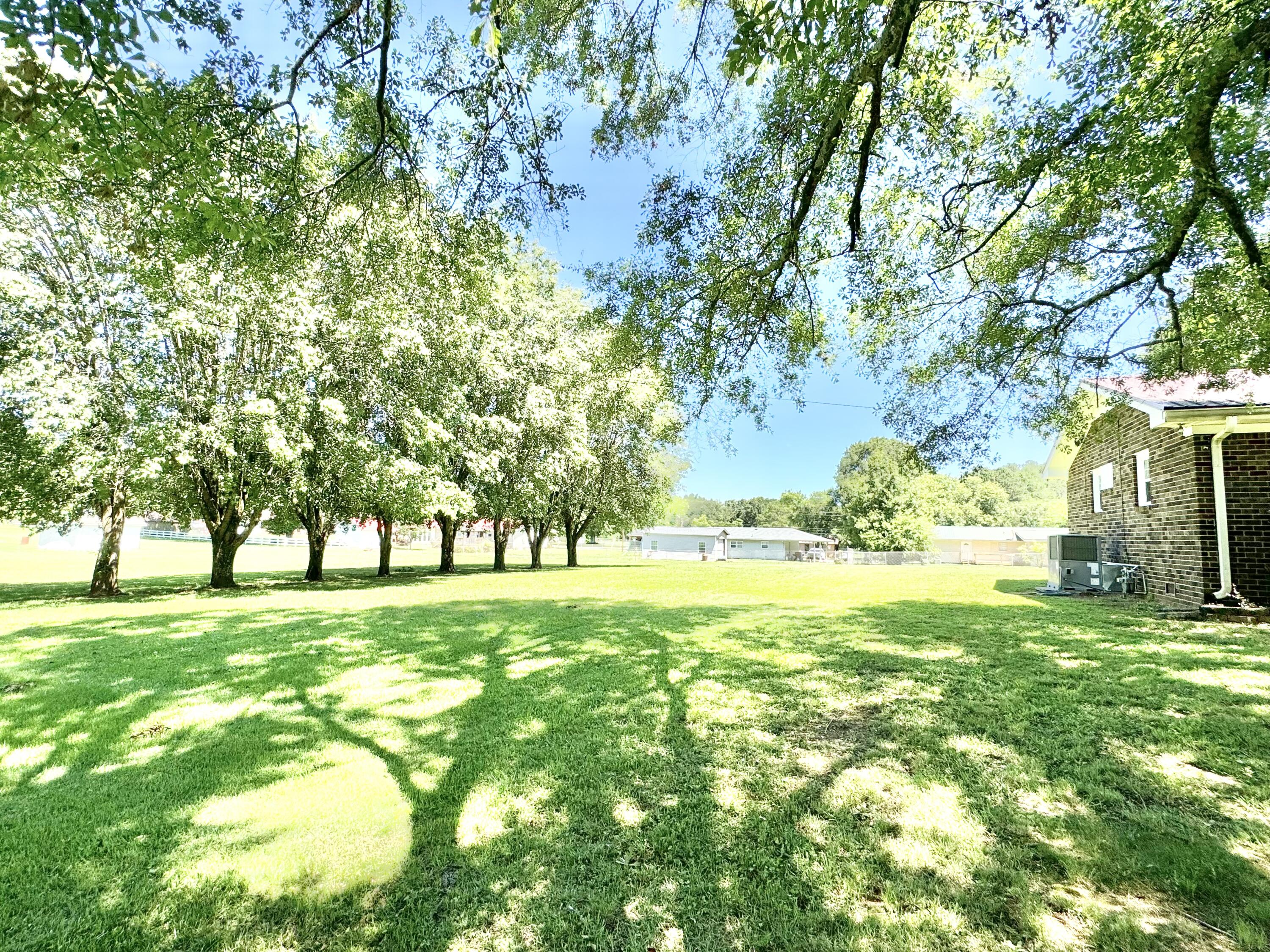 245 Red Oak Road Summerville, GA 30747 - Photo 28 of 38 IMG_8676