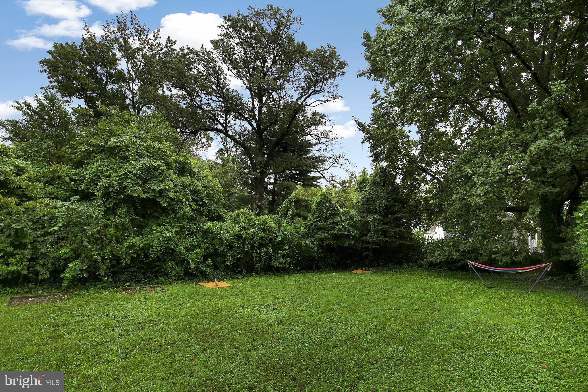 710 Easley Street Silver Spring, MD 20910 - Photo 22 of 26 Back Yard