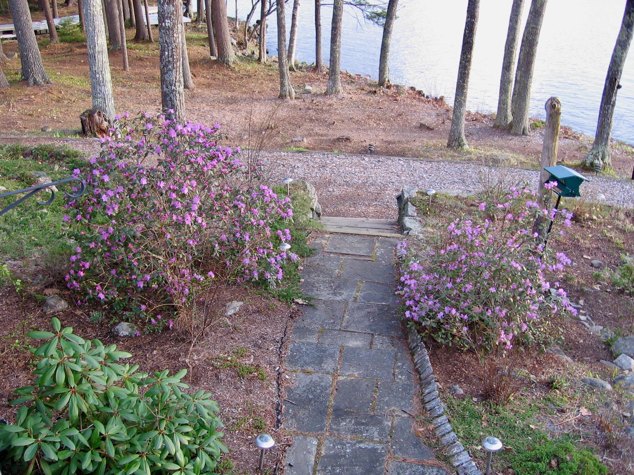 26 Potter Point Road Nobleboro, ME 04555 - Photo 16 of 24 26potterpoint16