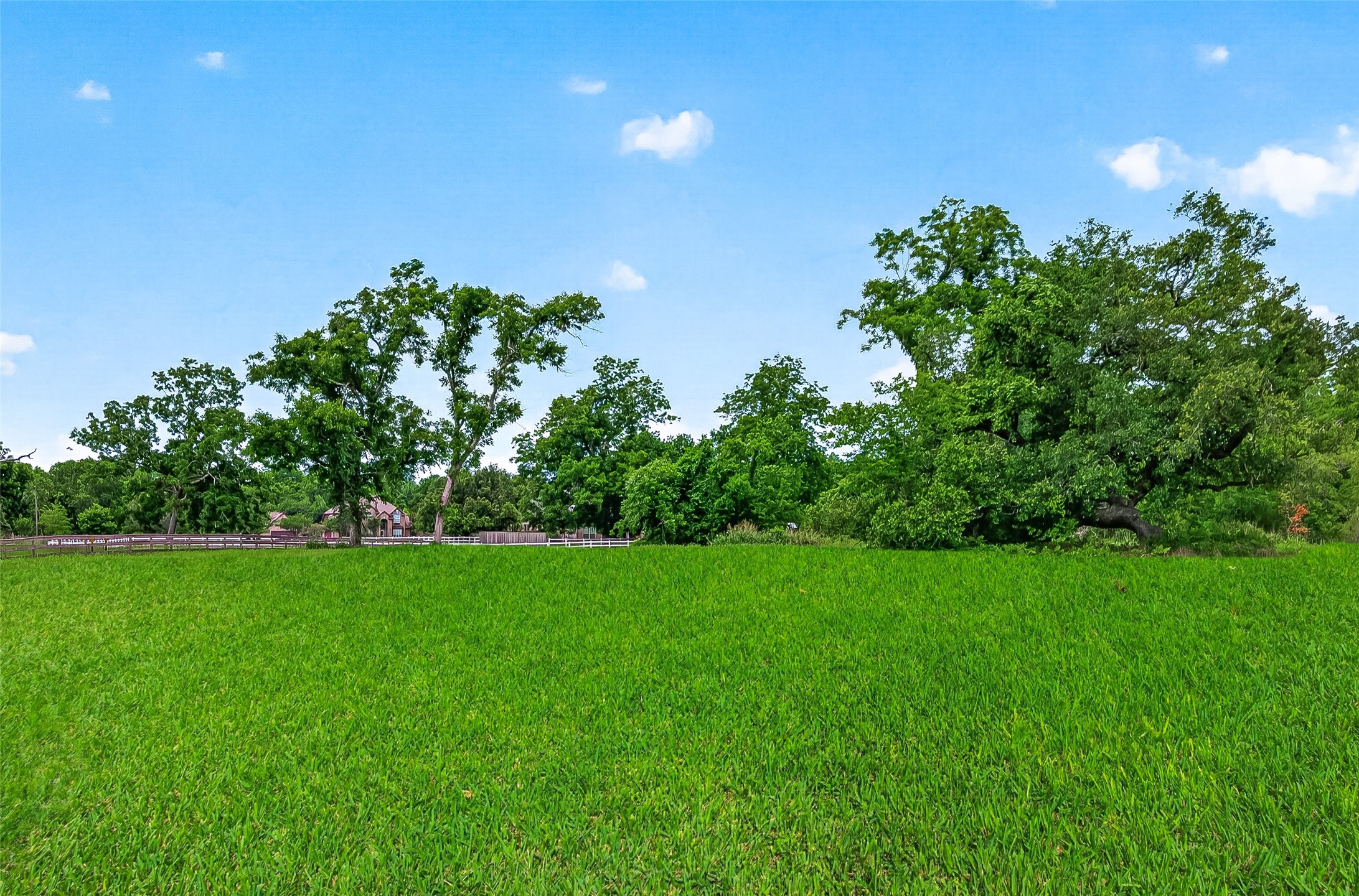 3526 Tankersley Circle Rosharon, TX 77583 - Photo 10 of 37