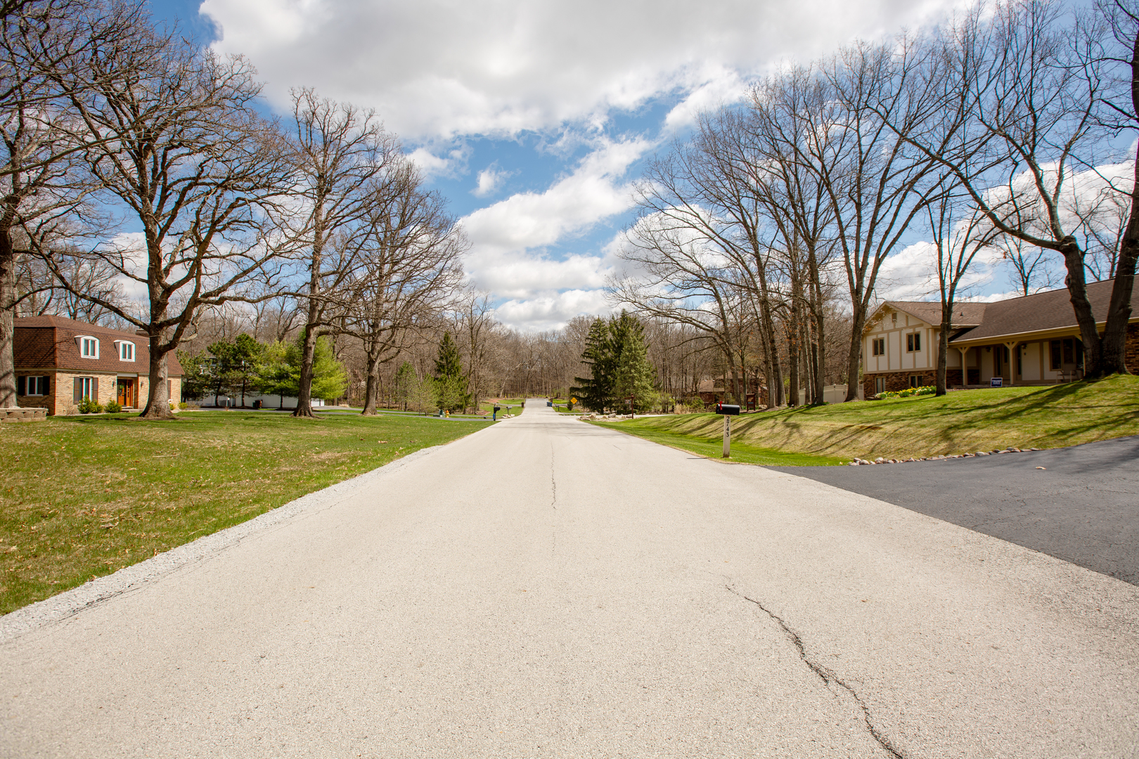 2701 East Richton Road Crete, IL 60417 - Photo 3 of 7 a view of road with with trees