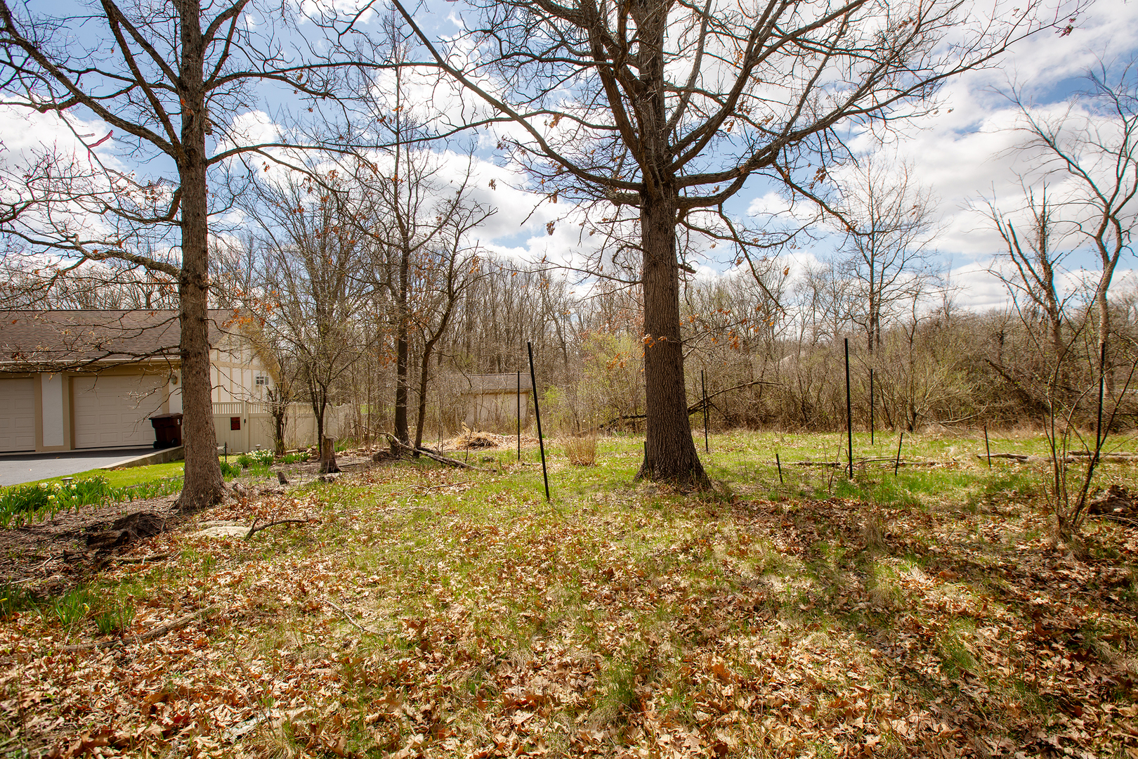 2701 East Richton Road Crete, IL 60417 - Photo 5 of 7 a view of a yard with a tree