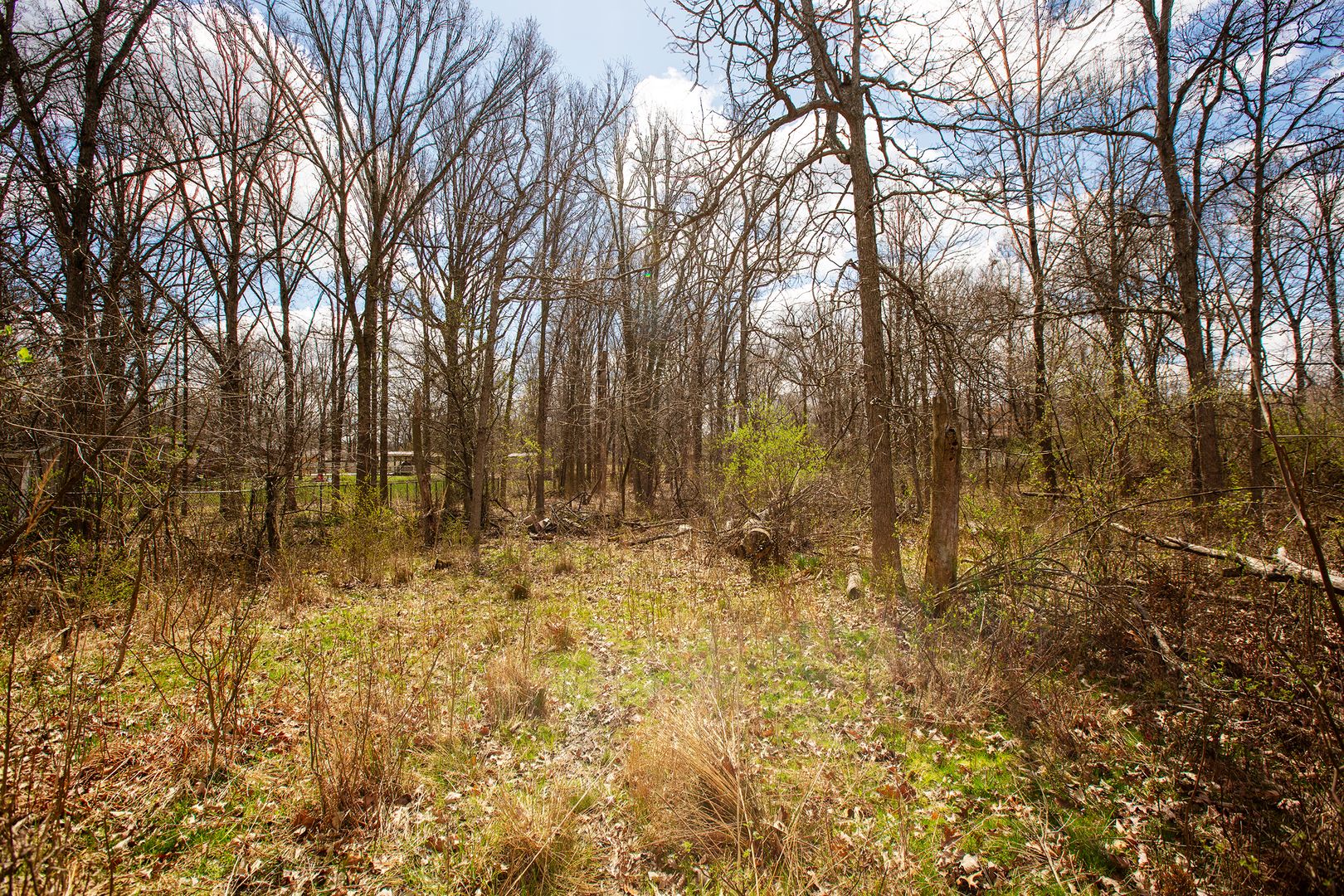 2701 East Richton Road Crete, IL 60417 - Photo 6 of 7 a view of covered with snow