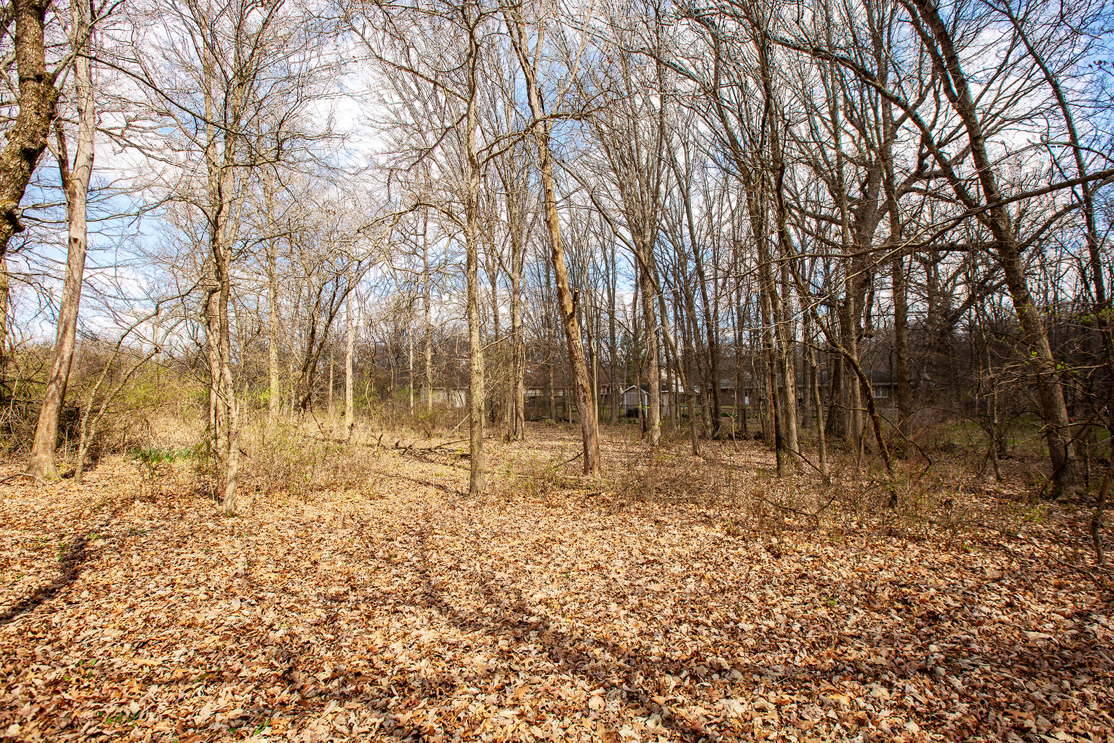 2701 East Richton Road Crete, IL 60417 - Photo 7 of 7 a view of backyard with trees