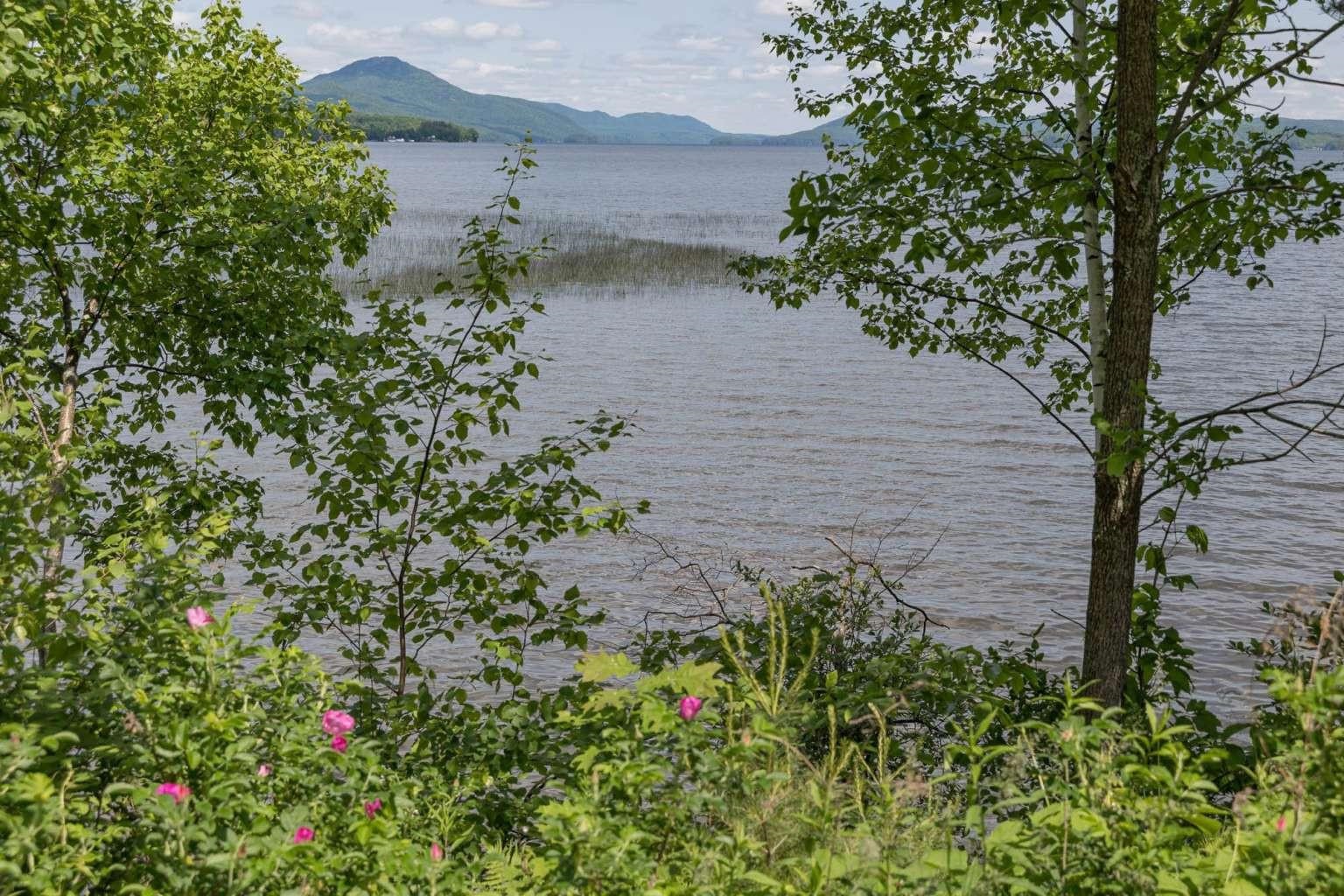 1413 Bluff Road Newport, VT 05855 - Photo 12 of 12