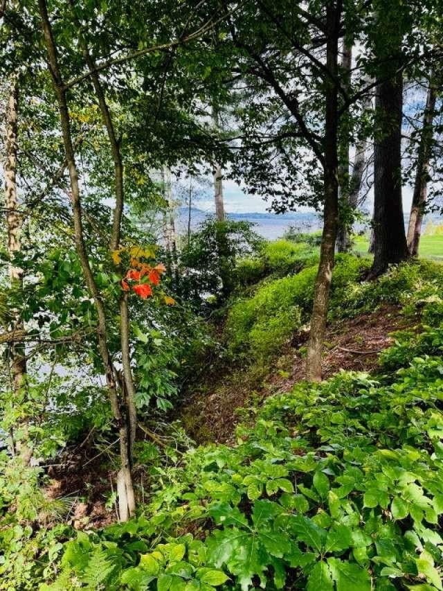 1413 Bluff Road Newport, VT 05855 - Photo 6 of 12