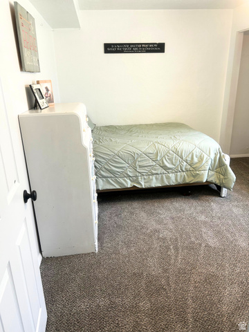 570 250 East Parowan, UT 84761 - Photo 20 of 27 Neutral wall color with textured carpeting
