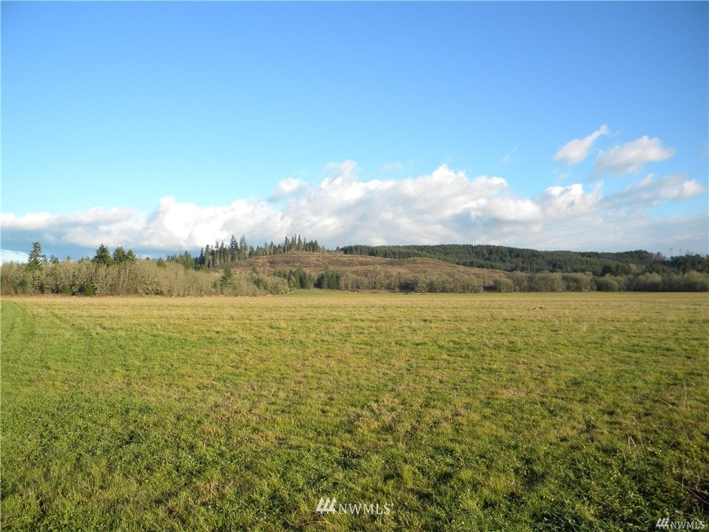 0 Fulton Road Toledo, WA 98591 - Photo 1 of 1