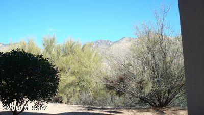 5855 North Kolb Road, Unit 1102W Tucson, AZ 85750 - Photo 8 of 22