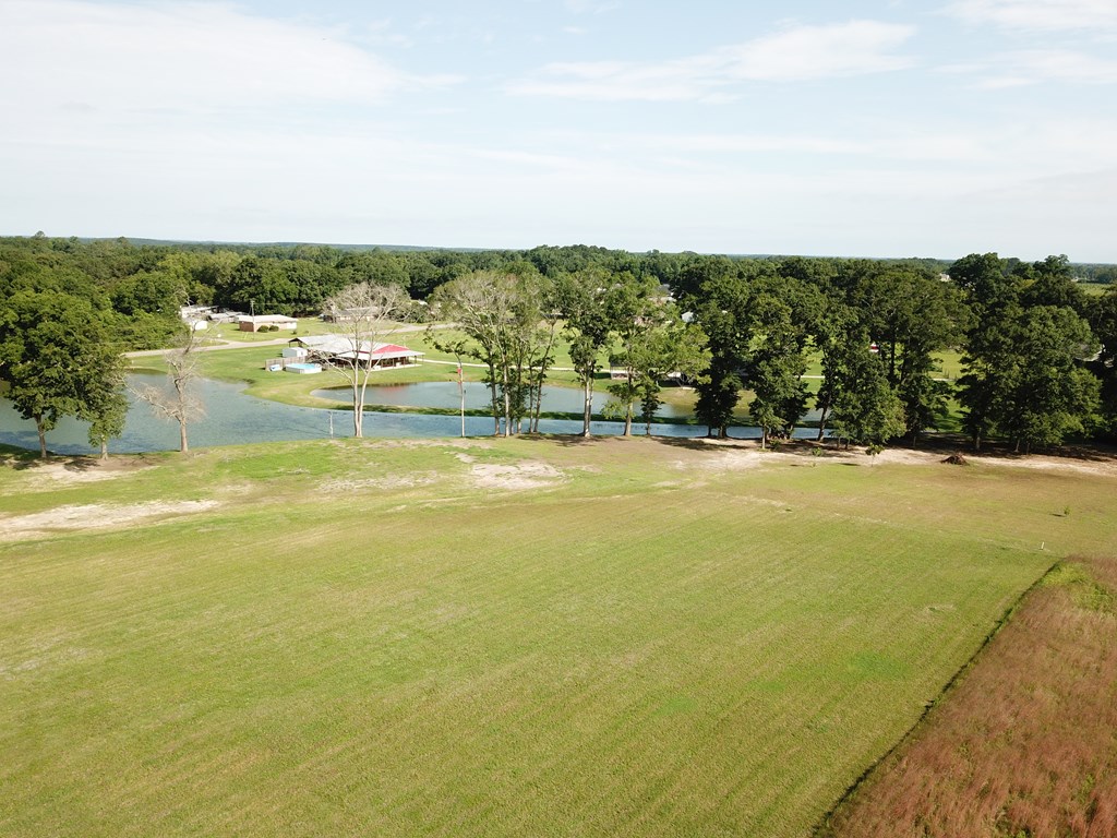 103 Slocomb Al Slocomb, AL 36375 - Photo 23 of 63
