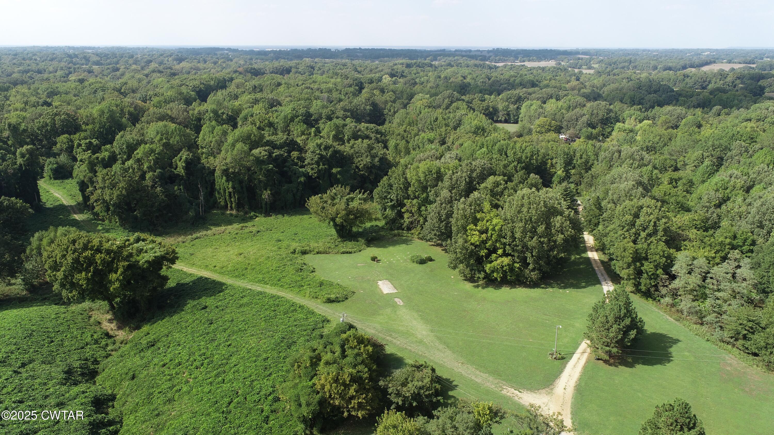 328 Cates Road Halls, TN 38040 - Photo 29 of 35 a view of a lush green forest with trees and some houses