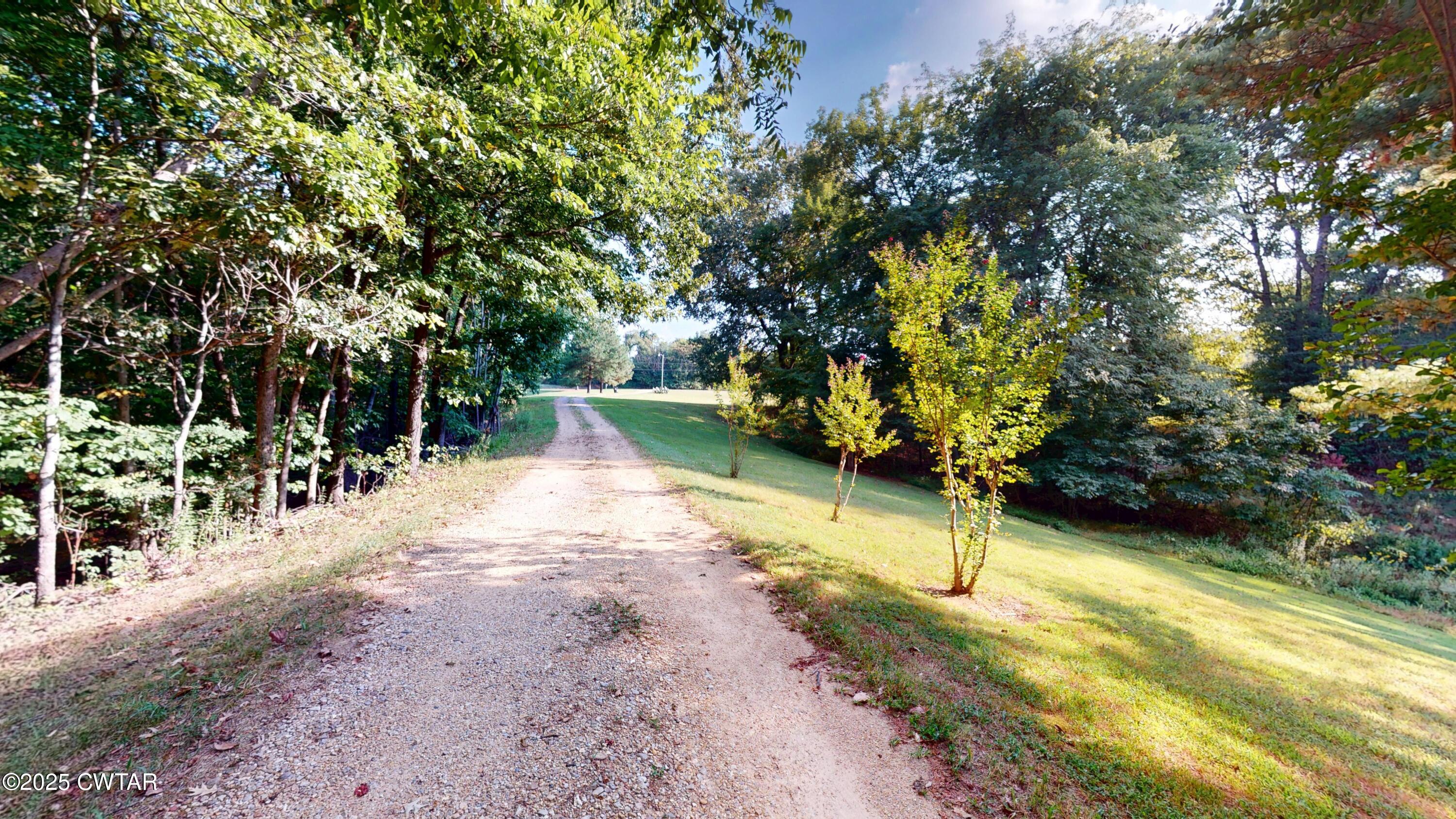 328 Cates Road Halls, TN 38040 - Photo 6 of 35 a view of outdoor space and yard