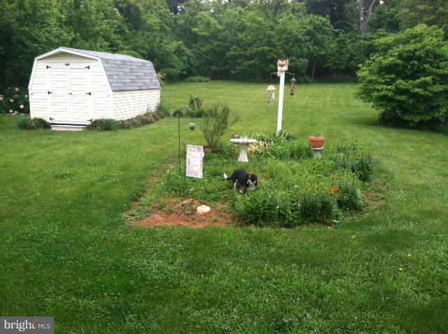 860 Laurel Grove Road Winchester, VA 22602 - Photo 4 of 24 Back yard
