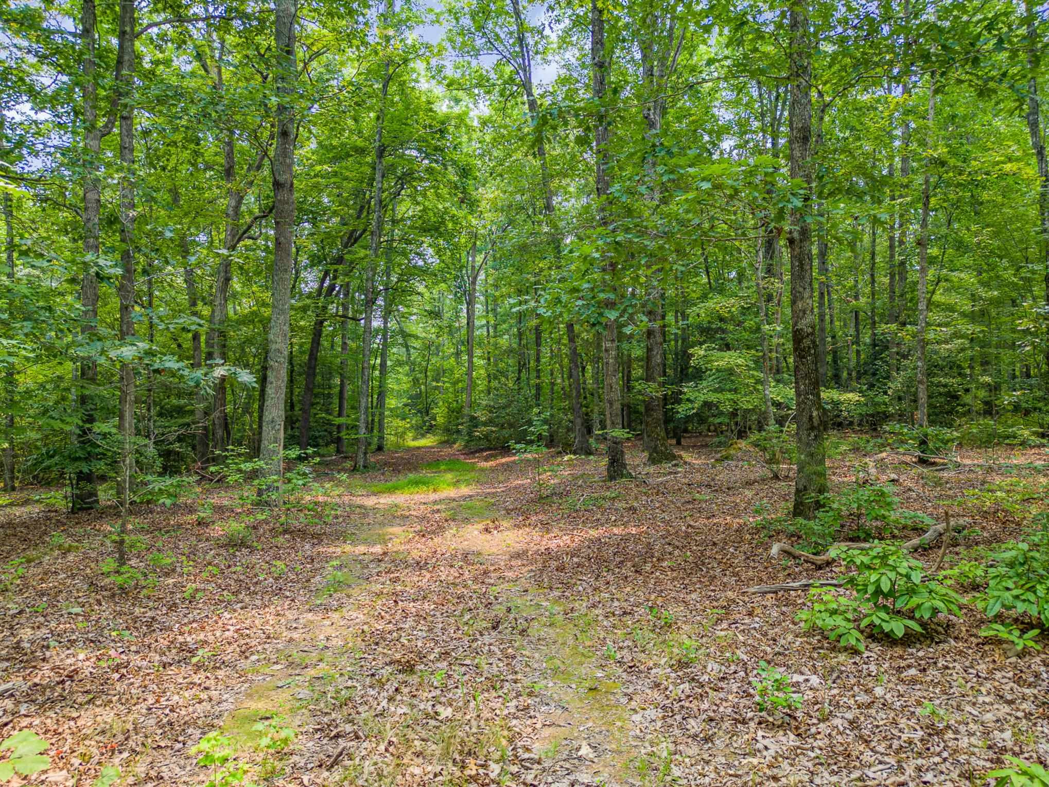 0 Lebanon Road Troy, NC 27371 - Photo 2 of 12 Photo 2