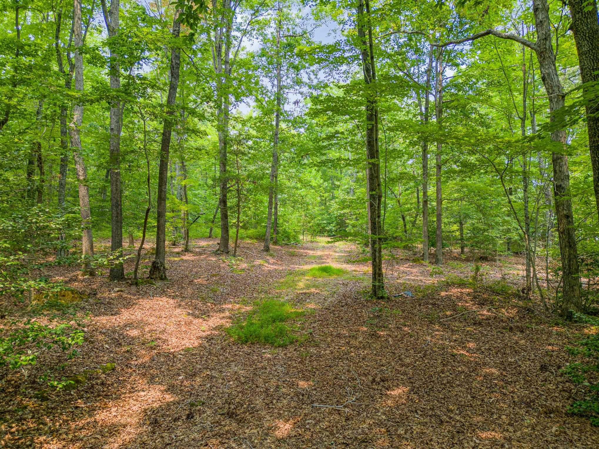 0 Lebanon Road Troy, NC 27371 - Photo 3 of 12 Photo 3