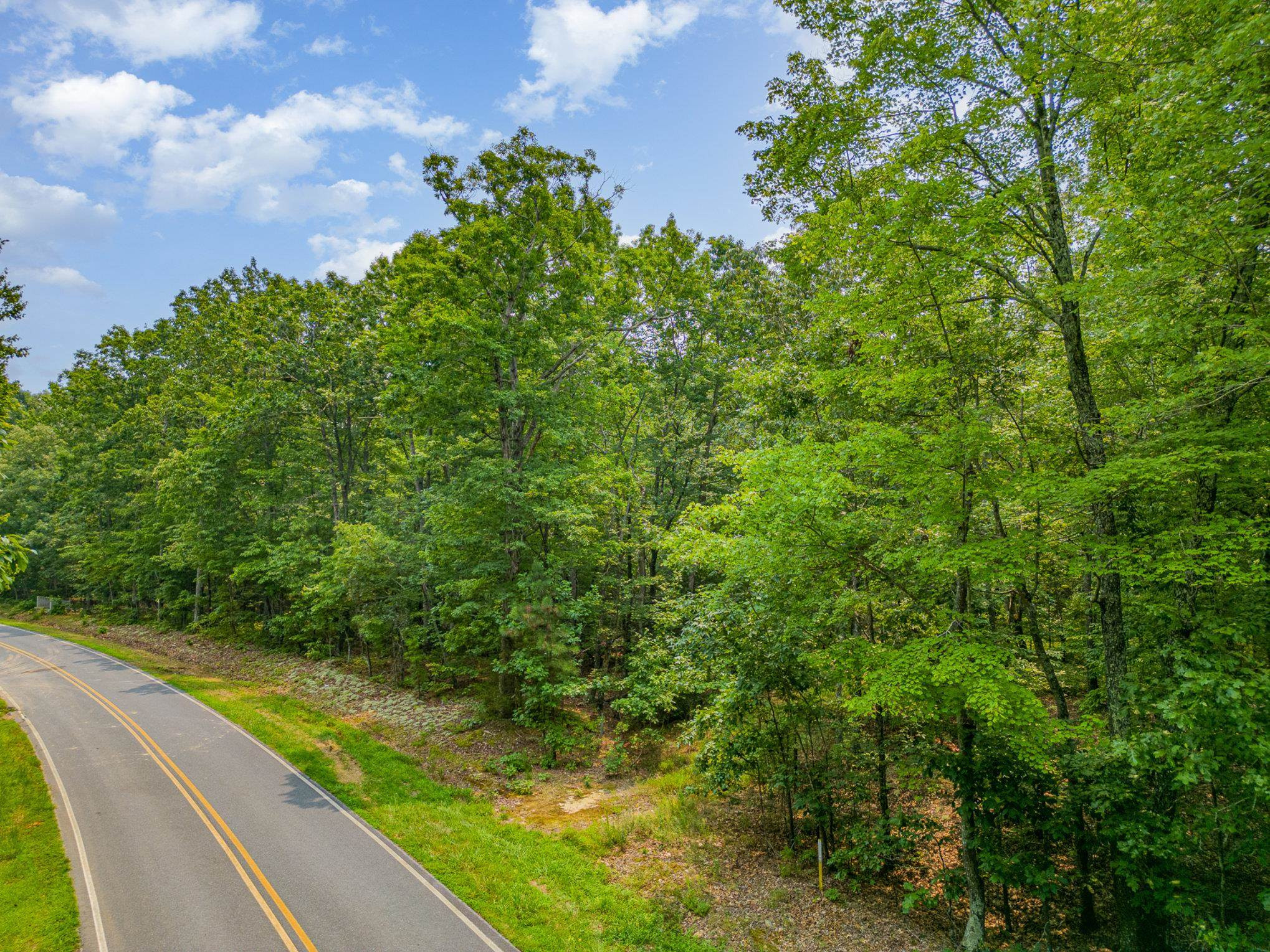 0 Lebanon Road Troy, NC 27371 - Photo 4 of 12 Photo 4
