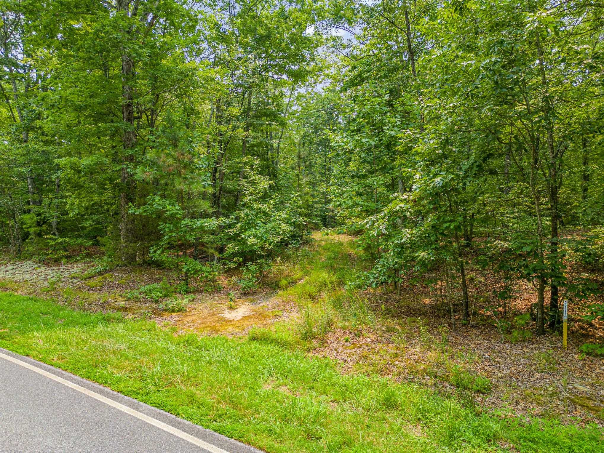 0 Lebanon Road Troy, NC 27371 - Photo 5 of 12 Photo 5