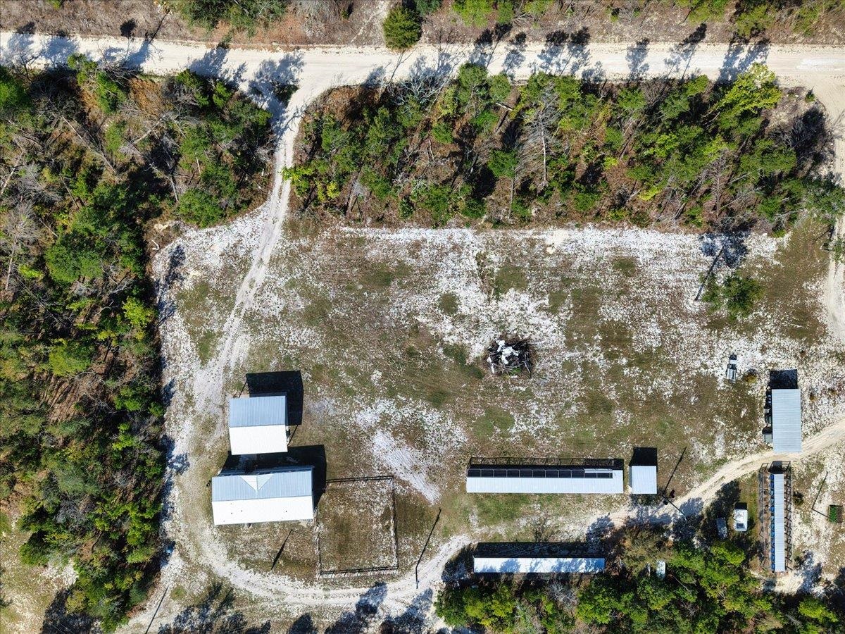 17600 Clearwater Creek Road Perry, FL 32348 - Photo 33 of 39