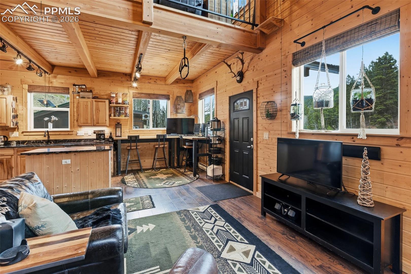 325 Willow Road Divide, CO 80814 - Photo 3 of 49 Gallery Image 3