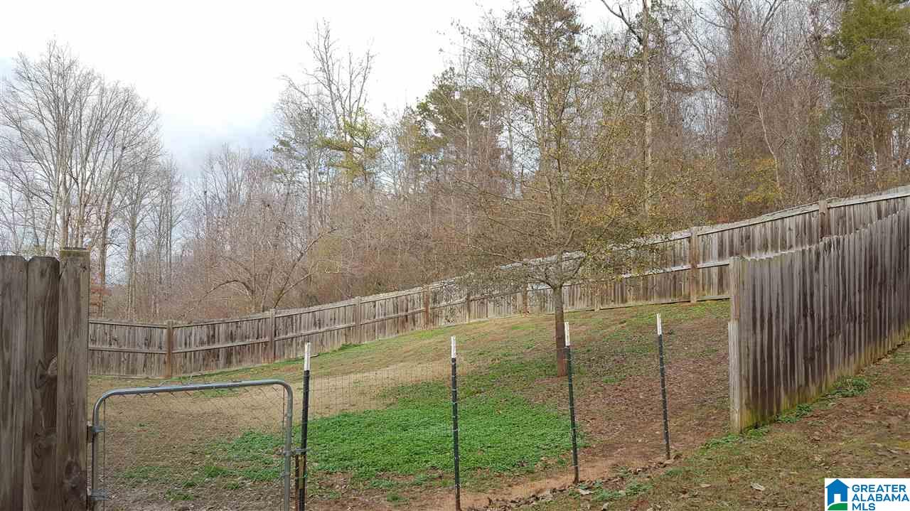 176 Ember Lane Ohatchee, AL 36271 - Photo 3 of 23