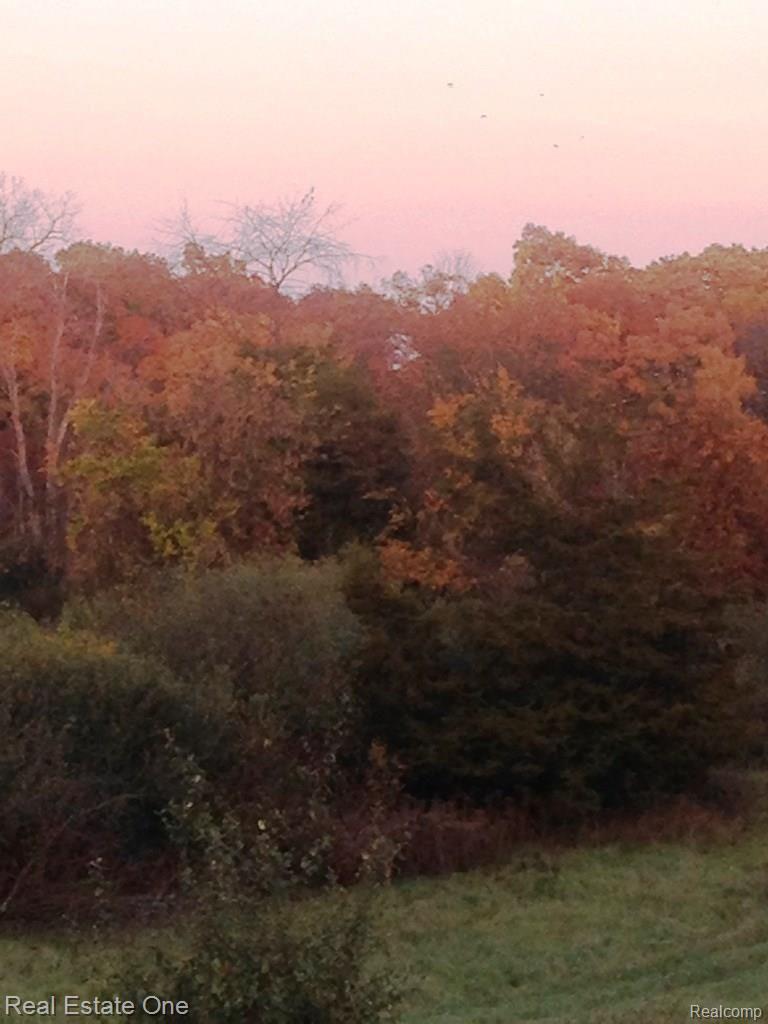 8405 Werkner Road Chelsea, MI 48118 - Photo 73 of 74 kyles iphone may 2017 896.JPG