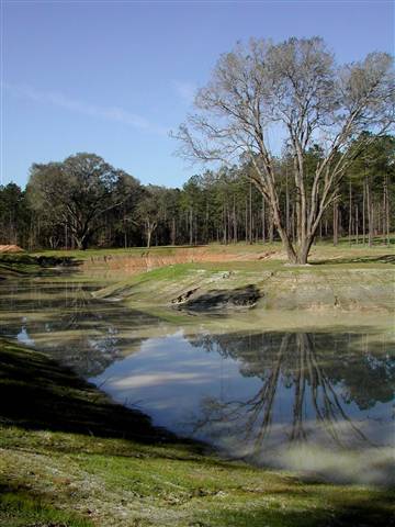 397 Mays Road Monticello, FL 32344 - Photo 8 of 10 Gallery Image 8