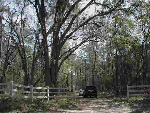 397 Mays Road Monticello, FL 32344 - Photo 10 of 10 Gallery Image 10