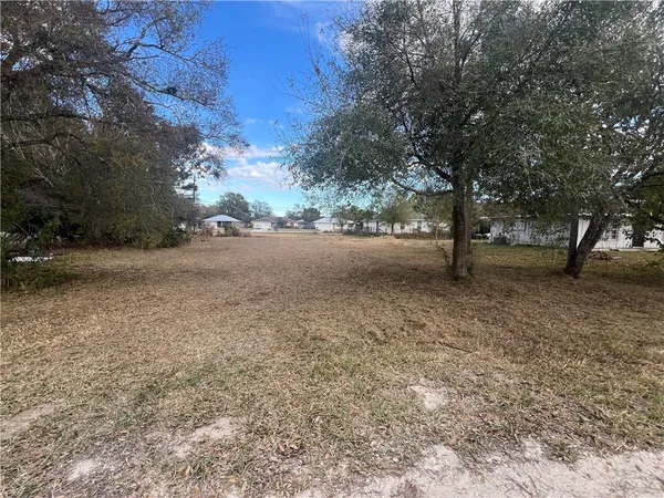 a view of empty area with tree