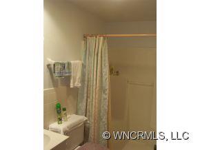 331 Thunder Road Brevard, NC 28712 - Photo 22 of 24 Gallery Image 22