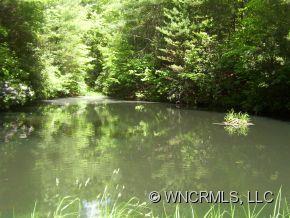 331 Thunder Road Brevard, NC 28712 - Photo 24 of 24 Gallery Image 24