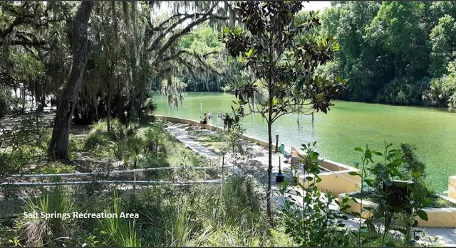 $8,499 | 303 Siesta Drive, Georgetown, FL 32139