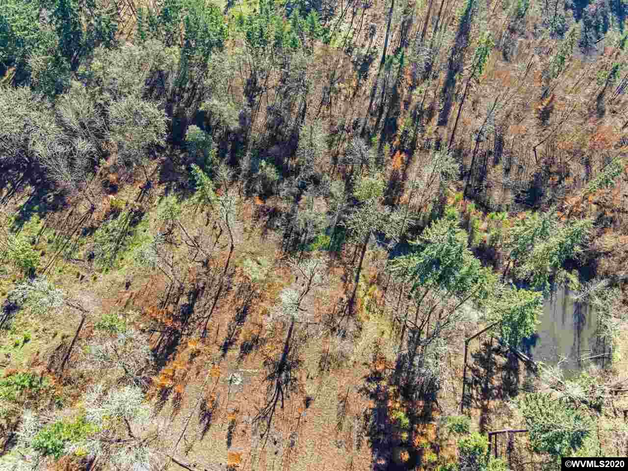 10750 Wagner Road Lyons, OR 97358 - Photo 7 of 18 Gallery Image 7