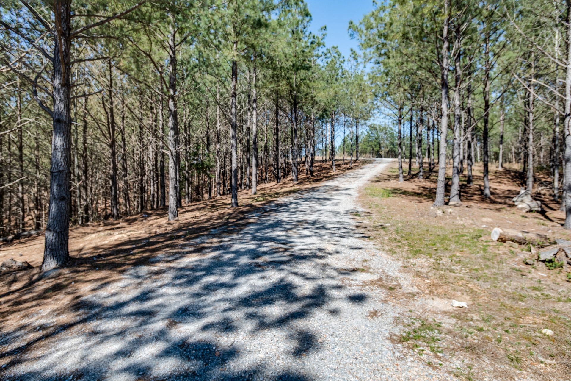 201 Summit Drive Linden, TN 37096 - Photo 5 of 31 a view of a forest with trees