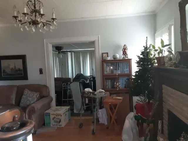 a living room with furniture flower pot and a fireplace