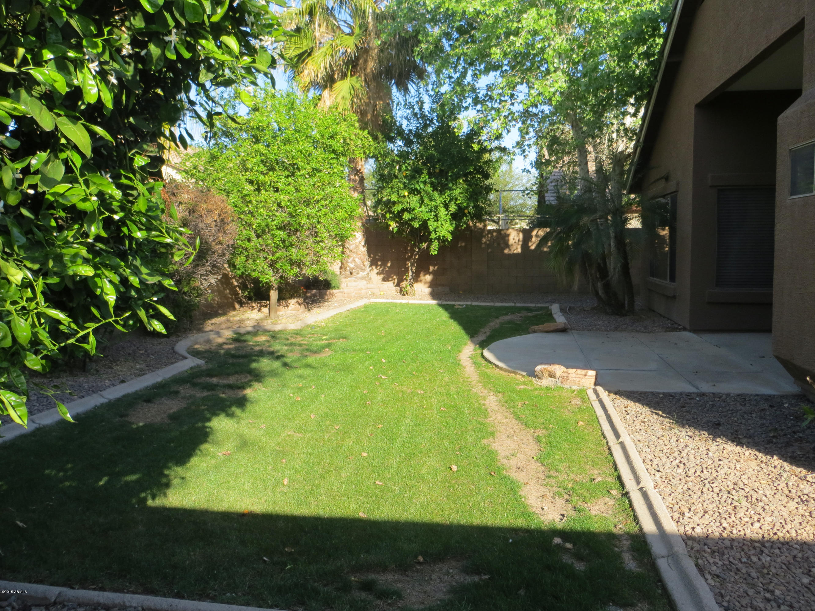 3918 East Bautista Road Gilbert, AZ 85297 - Photo 25 of 30 mature trees