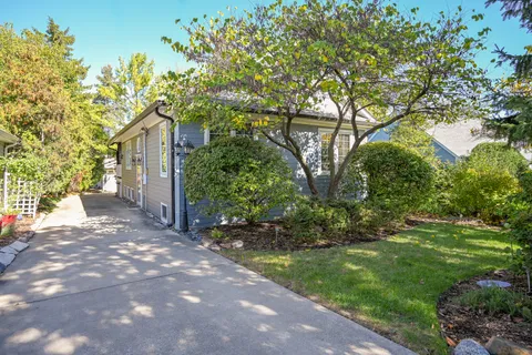 a backyard of a house with plants and large tree
