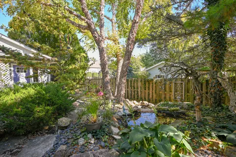 a view of a house with a small yard and plants