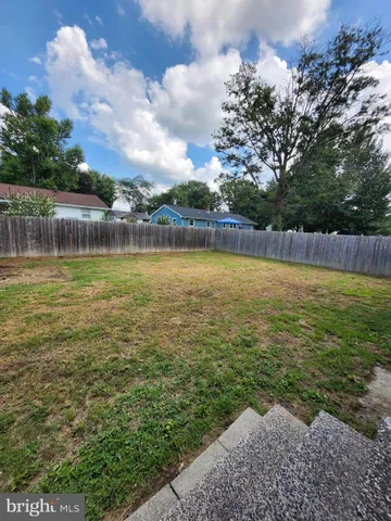a view of a large body of water with a large tree