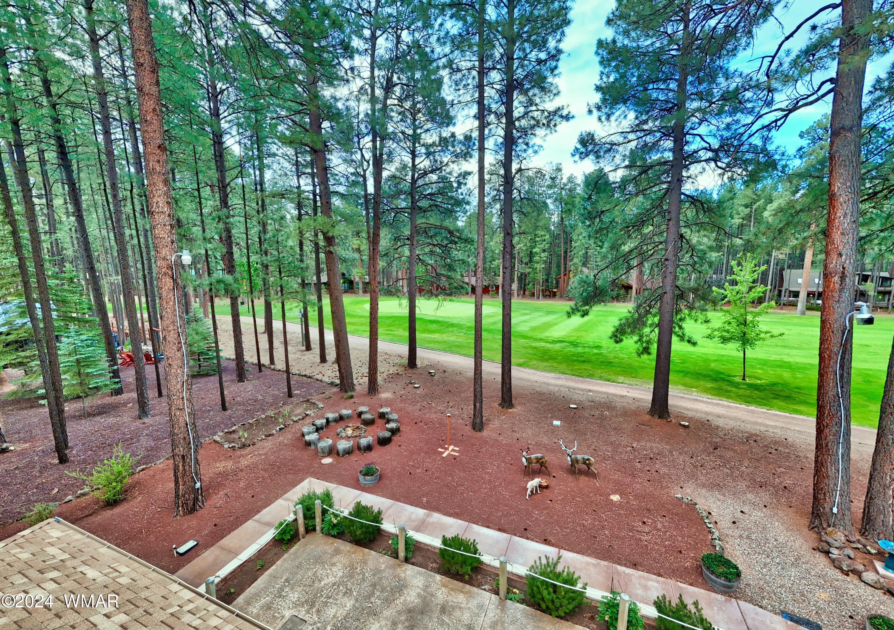 7733 Indian Bend Road Pinetop, AZ 85935 - Photo 4 of 44 4