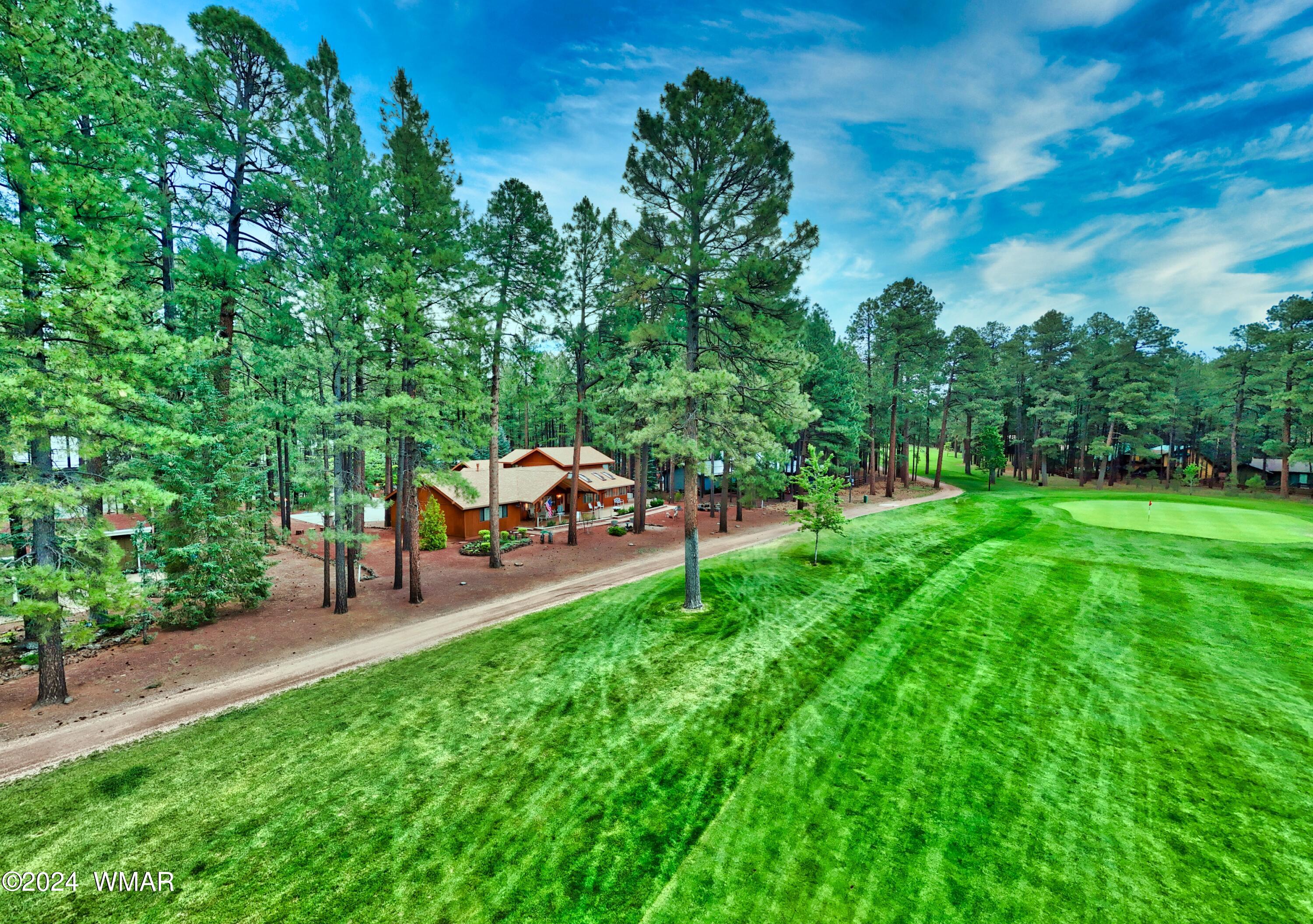 7733 Indian Bend Road Pinetop, AZ 85935 - Photo 7 of 44 7
