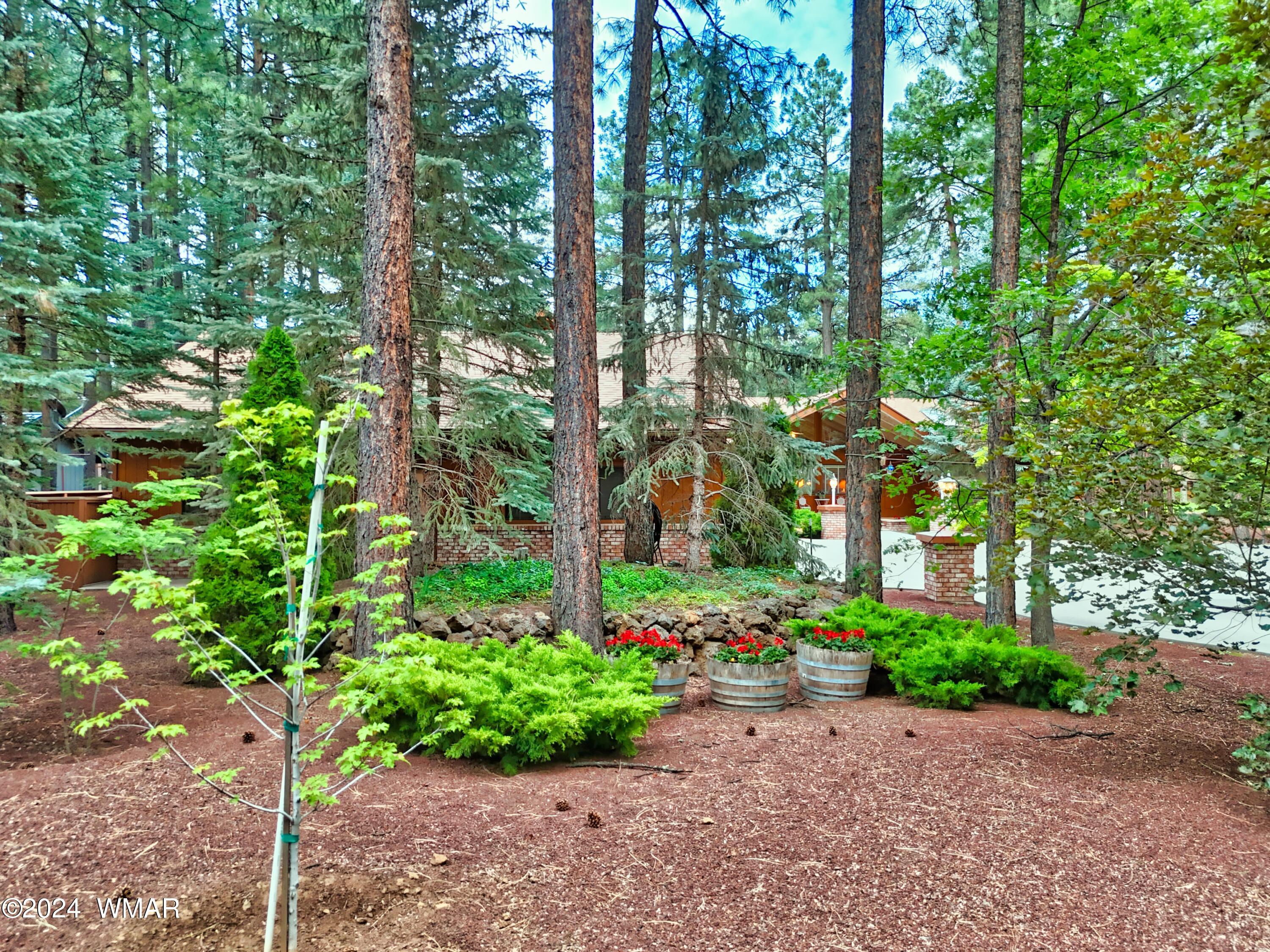 7733 Indian Bend Road Pinetop, AZ 85935 - Photo 9 of 44 9