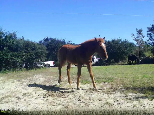 $135,000 | 2126 Sandpiper Road, Corolla, NC 27927